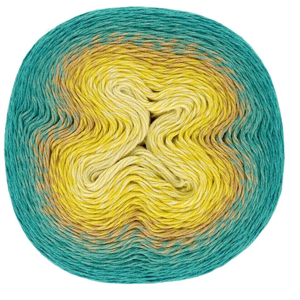 220 gr Woolly Whirl - Scheepjes
