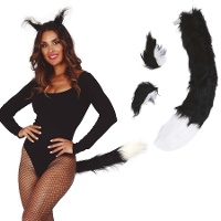 Lynx Zubehörset