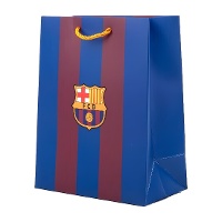 Geschenktüte 23 x 18 x 10 cm mit blauroten Streifen