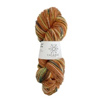 Sockengarn 100 gr - Casasol