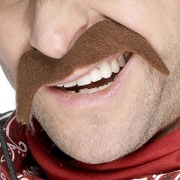 Brauner Hufeisenschnurrbart