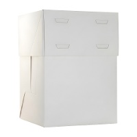Tortenbox 15 x 15 x 20 cm - höhenverstellbar bis 24 cm