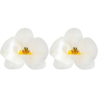 Orchideen-Blüten-Oblaten 8,5 x 7,5 cm - Dekora - 10 Stück