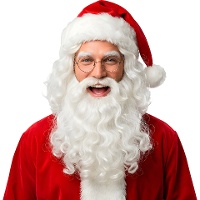 Weihnachtsmann Perücke und Bart 250 gr