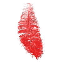 Charleston Federn 30cm - 12 Stück