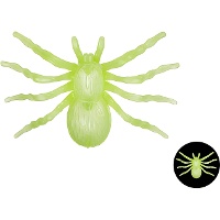 Nachtleuchtende Spinnen, 10 cm