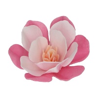Magnolienblumen-Oblate, Sortierte Größen - FunCakes - 6 Stück