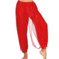 Bauchtanzhosen mit Glitzer