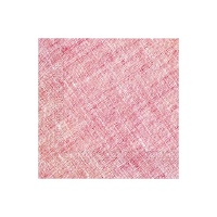 Kompostierbare Servietten 16,5 x 16,5 cm - 20 Stück