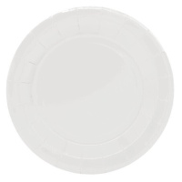 23 cm weiße Pappteller - 10 Stück.