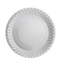 Metallische Pappteller 23 cm - 10 Stück