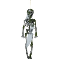 Hängendes Skelett mit Moos, 40 cm