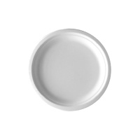 Pappteller 20 cm - 25 Stück
