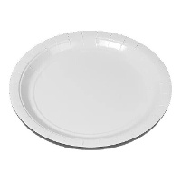 Weiße Pappeller von 20 cm - 100 Stück