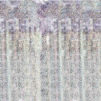 Holografische Vorhang 2 x 1 m