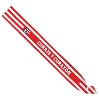 Schärpe des Atlético de Madrid - 
