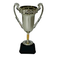 20 cm Meisterpokal