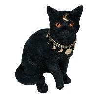 Schwarze spirituelle Katze, 28 x 23 cm