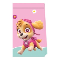 Paw Patrol Dog Patrol Bags Skye und Everest - 4 Stück.