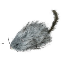 Graue haarige Ratte, 16 cm