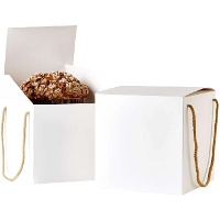 Weiße Box für Panettone, 21,5 x 21,5 x 21,5 cm