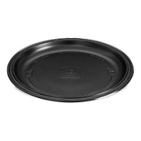 Robuste runde Kunststoffteller, 25 cm - 10 Stück