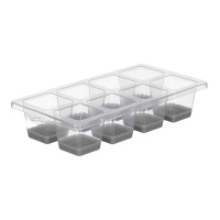 Eiswürfelbehälter für 8 große, transparente Eiswürfel