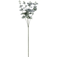 60 cm Eukalyptuszweig