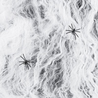 Weiße Spinnennetz mit zwei schwarzen Spinnen von 200 g