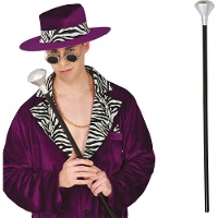 Gehstock mit silbernem Diamantknauf