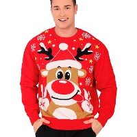 Rentier Weihnachtspulli für Männer