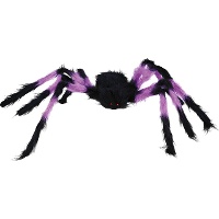 75 cm große, schwarze und bunte, haarige Spinne