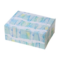 Schachtel für Eisbonbons, 18 x 13,5 x 7,5 cm