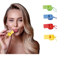 Bunte Pfeifen mit Schnur - 4 Stück