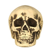 Totenkopf 20 cm